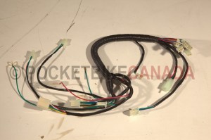 Wire Harness for 50cc/70cc/90cc/110cc 4-Stroke Mini ATV Quad - G1010043